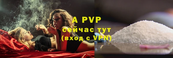 СК Касимов