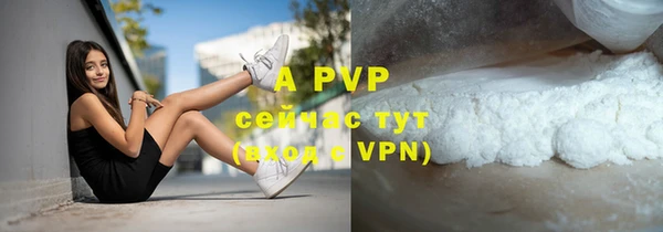 ГАЛЛЮЦИНОГЕННЫЕ ГРИБЫ Карпинск