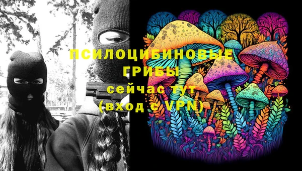МДМА Каменногорск