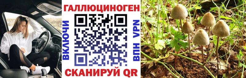 Псилоцибиновые грибы мухоморы  Купить  Луга 